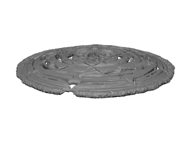 3D model for Concentric Echoes