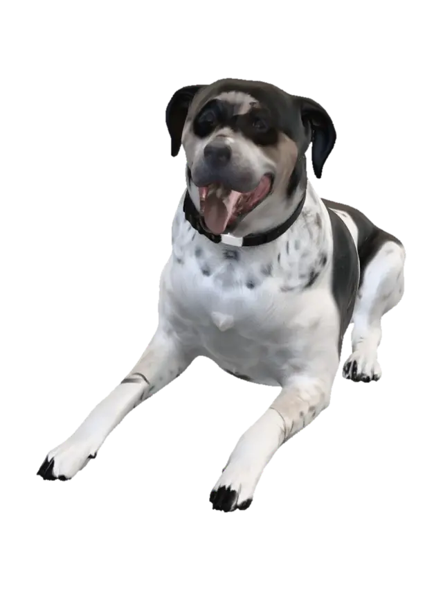 Midnight Pointer 3D model, vytvořený pomocí AI