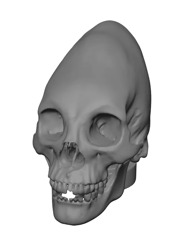 3D model for Stone Curve