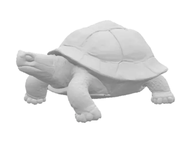 3D model for highly detailed wood carved tortoise