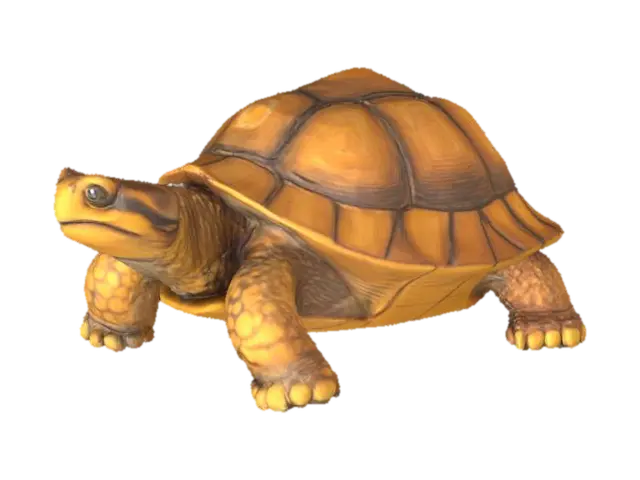 3D model for highly detailed wood carved tortoise