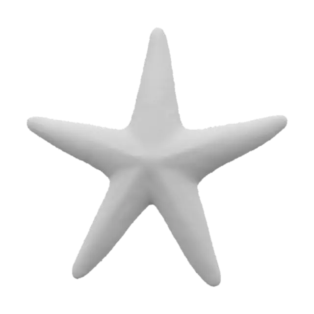 3D model for #ocean#, starfish