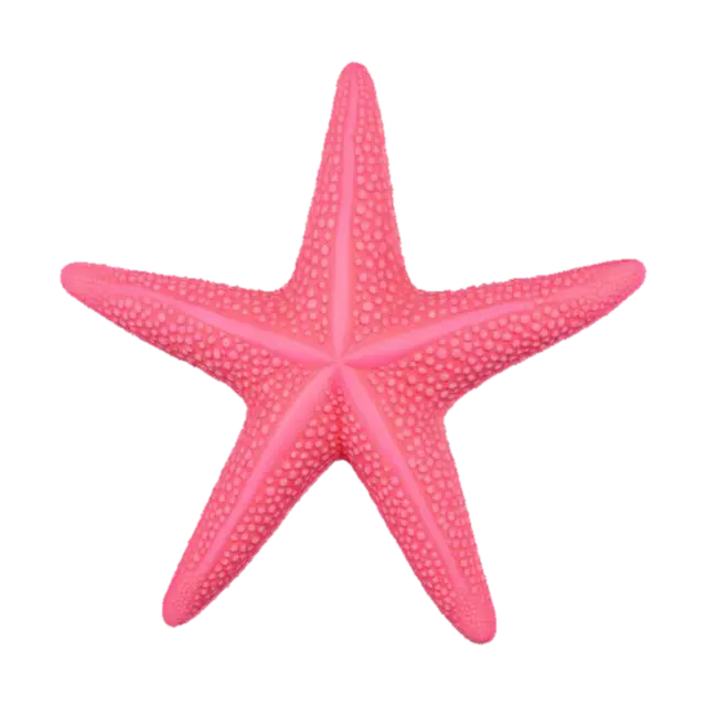 3D model for #ocean#, starfish
