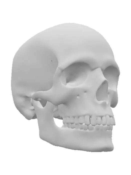 3D model for Hyper-Realistic | Marble | Shiny | cracked | a anatomically correct human Skull only made of Marble. 