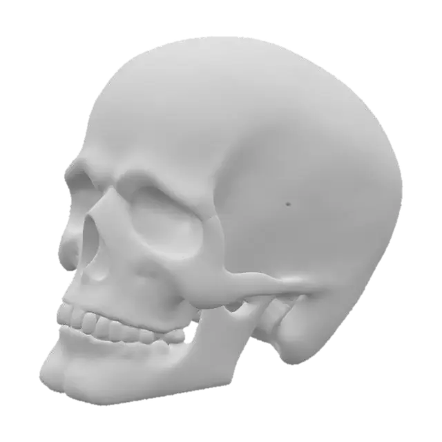 3D model for Hyper-Realistic | Artifact | a anatomically correct human Skull only made of older jade with a pattern engraved all over giving it a beautiful decorative piece