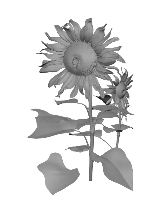 3D model for Golden Sunflower Against a Blue Sky