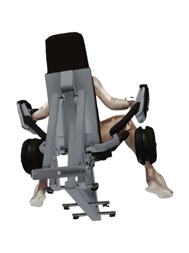 3D model for Golden Strength on the Leg Press