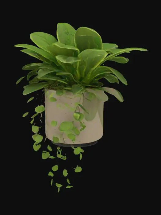 3D model for  wall plant