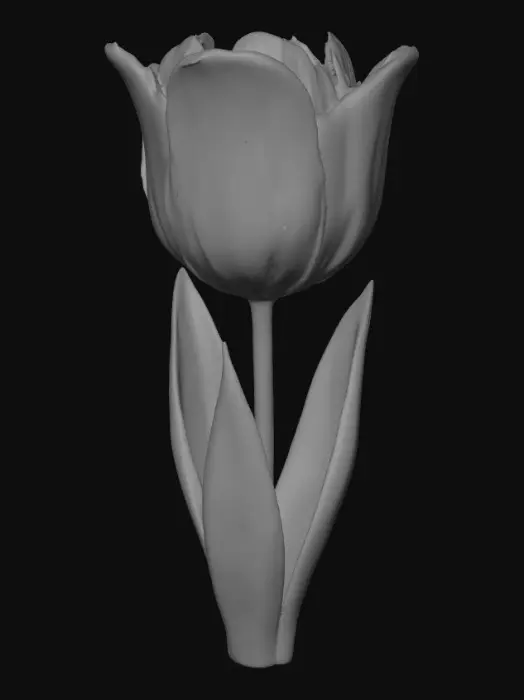3D model for Eine schöne Tulpe mit roter Blüte und saftig grünen Blättern und Stil