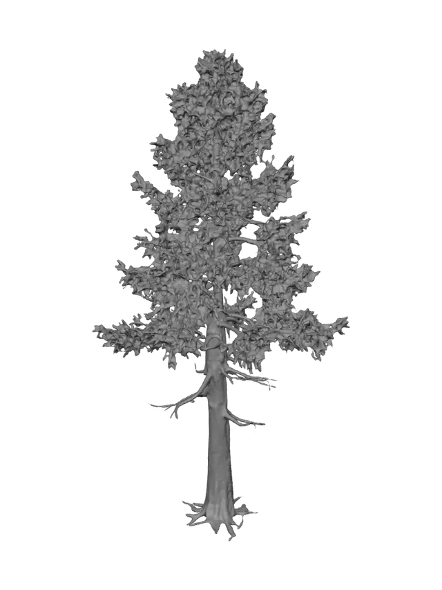 3D model for Lone Pine