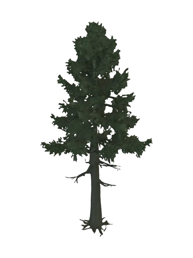 3D model for Lone Pine