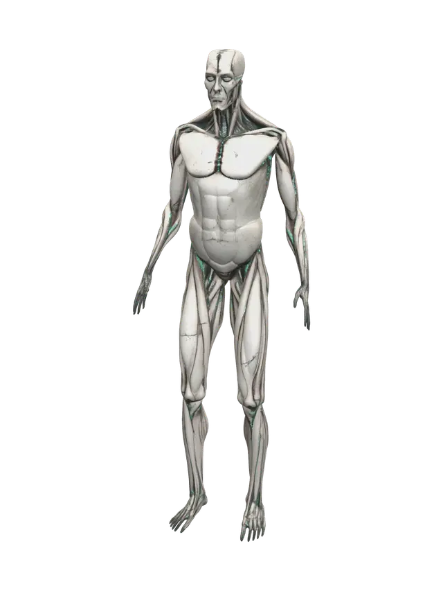 Muscle Anatomy - Humanbody 3D model, vytvořený pomocí AI