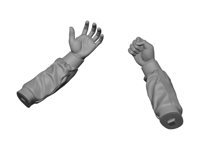 3D model for Open Palm and Fist