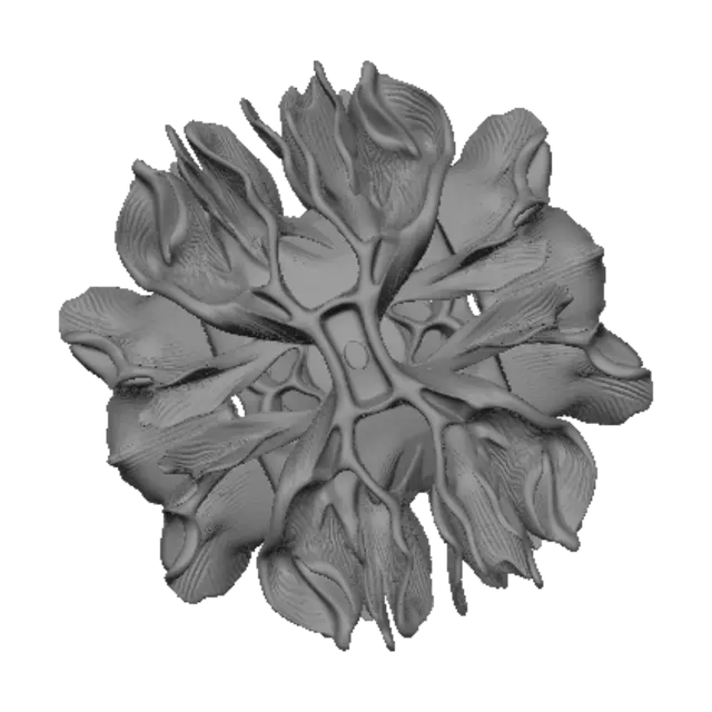 3D model for Rosette of Petals