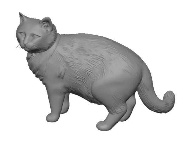 3D model for Tuxedo Cat on Hardwood Floor