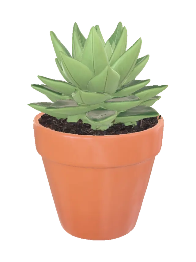 Potted Succulent - Darkbrown 3D model, vytvořený pomocí AI