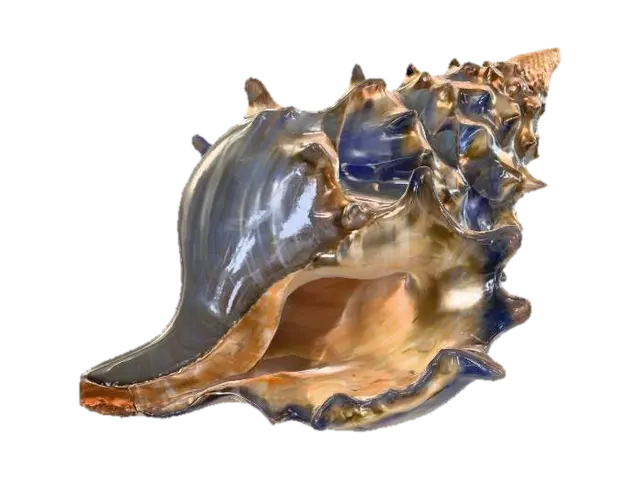3D model for Spiral Elegance