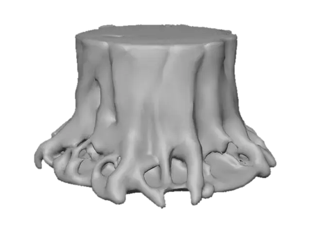 3D model for Sturdy Roots