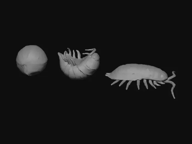 3D model for Pill Bug Triptych