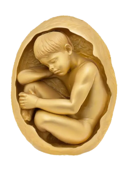 Golden Slumber - Eggshape-3D-modell, genererad av AI