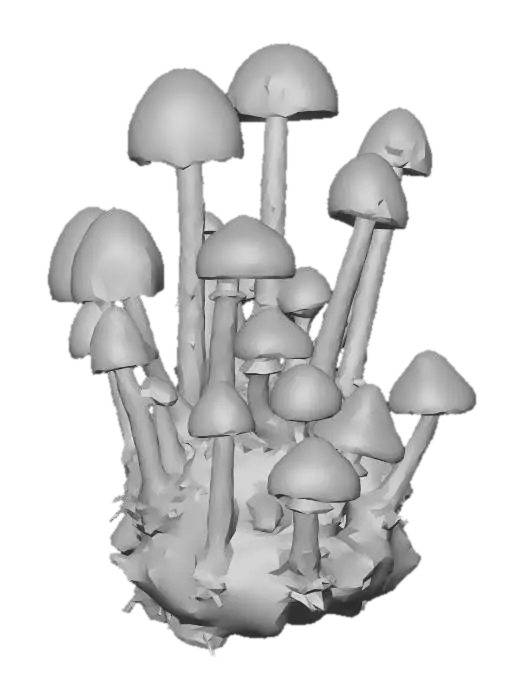 3D model for Cluster of Mushrooms