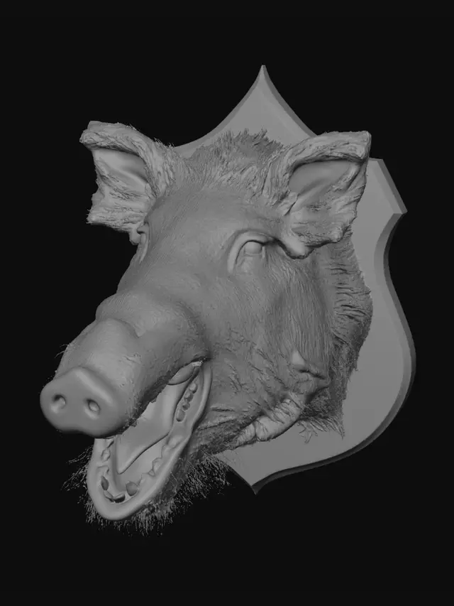 3D model for Boar Head Trophy