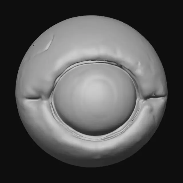 3D model for Erosion of Vision