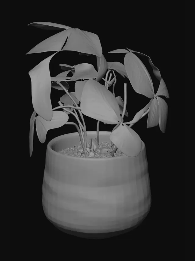 3D model for Pothos Plant in a White Pot