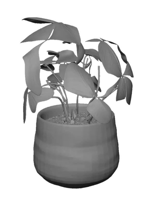 3D model for Pothos Plant in a White Pot