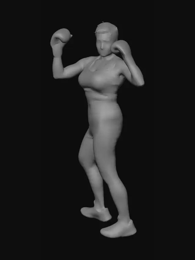 3D model for Boxer in Stance
