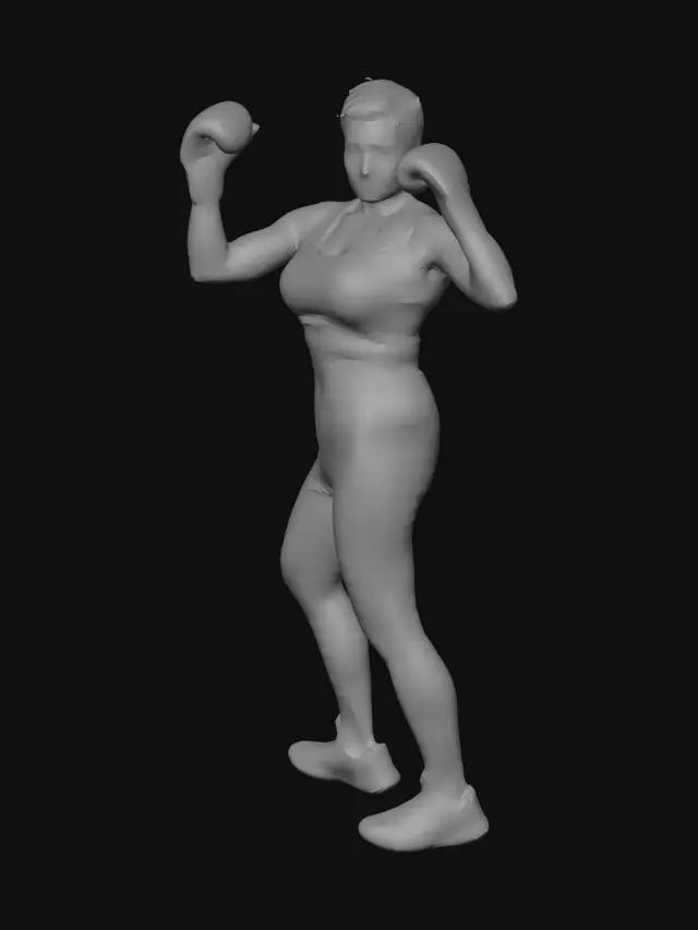 3D model for Boxer in Stance