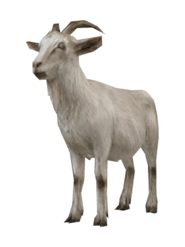 3D model for A fairly normal goat