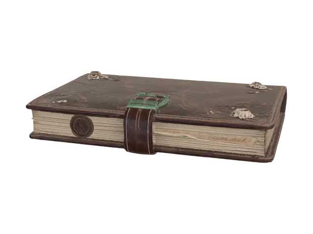 3D model for Emberbound Grimoire
