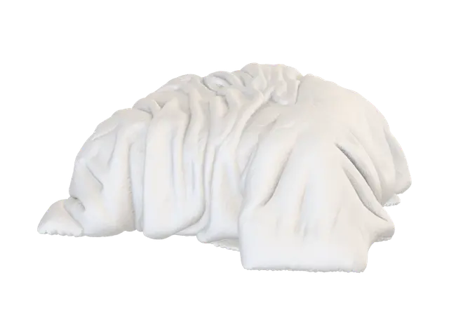 3D model for Cloud Blanket Retreat