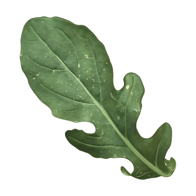 3D model for 