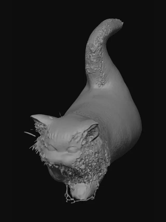 3D model for Blue-Eyed Snowcat