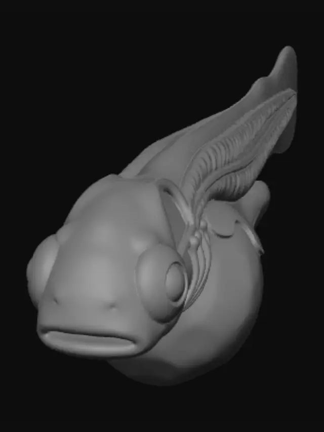 3D model for Ceramic Dreamfin