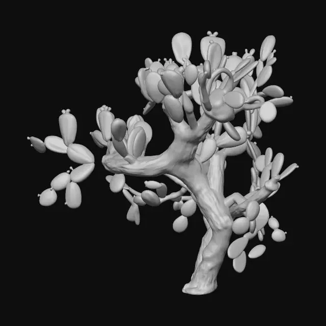 3D model for Moonlit Prickly Pear Bonsai