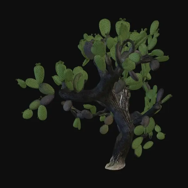 3D model for Moonlit Prickly Pear Bonsai