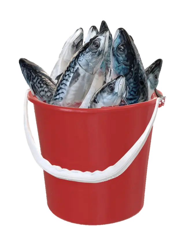 Mackerel in a Red Bucket 3D model, vytvořený pomocí AI