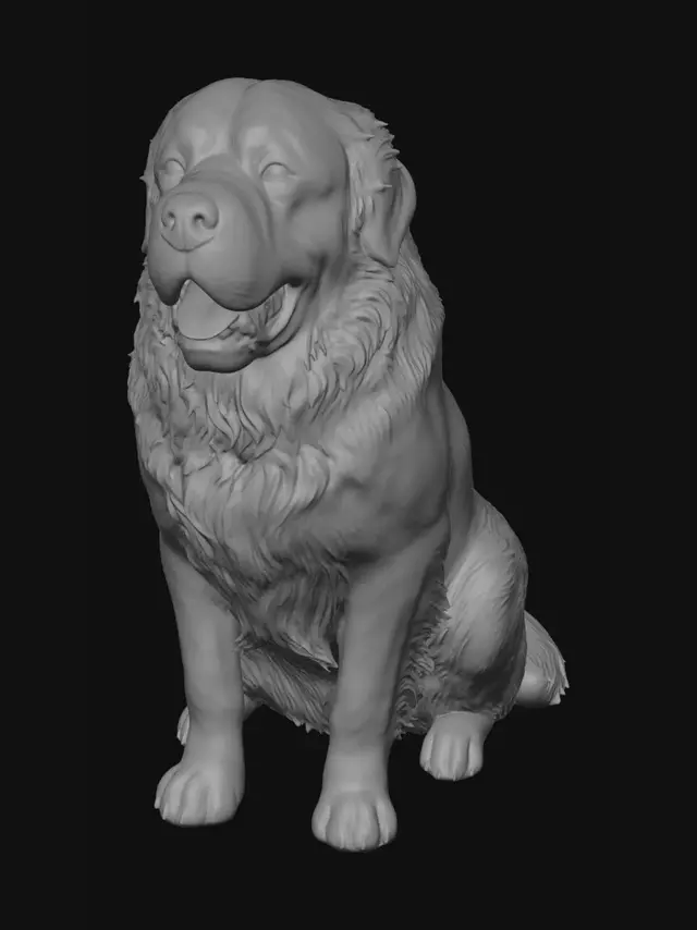 3D model for Gentle Giant Saint Bernard