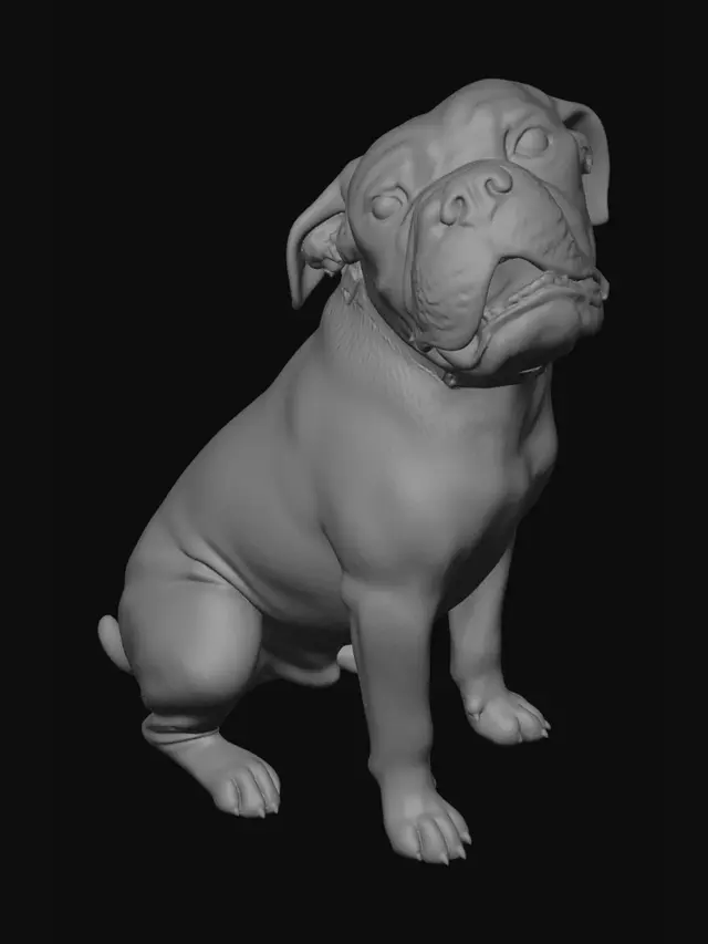 3D model for Brindle Bulldog Looking Up