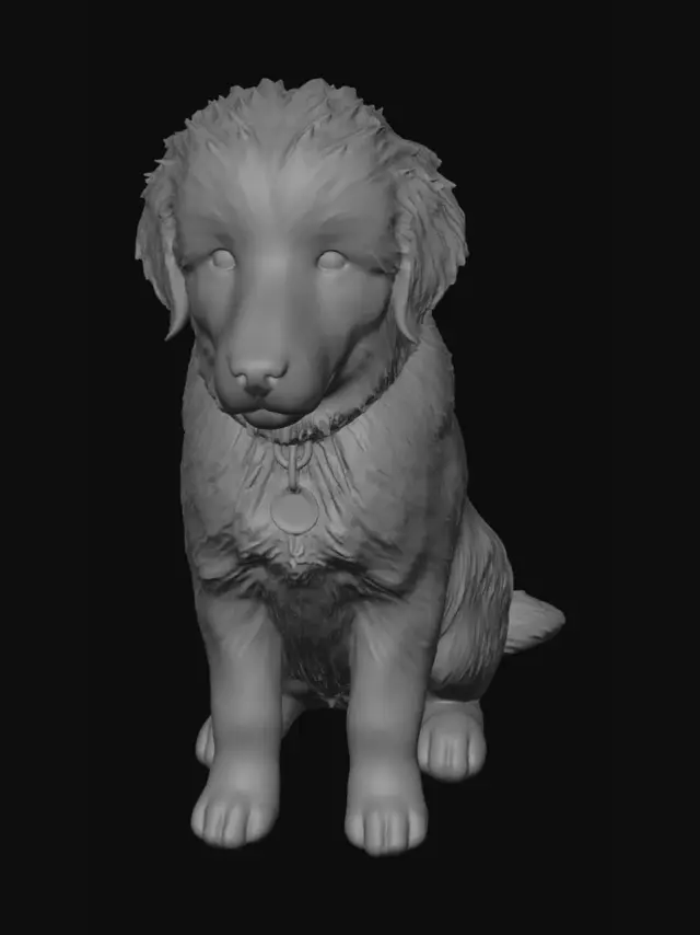 3D model for Coal and Cream Puppy