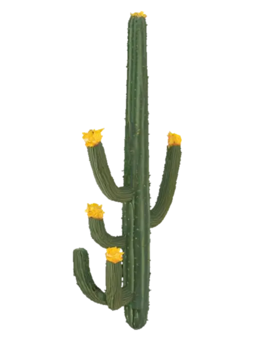 desert cactus 3D model, vytvořený pomocí AI