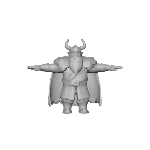 3D model for Viking Elder