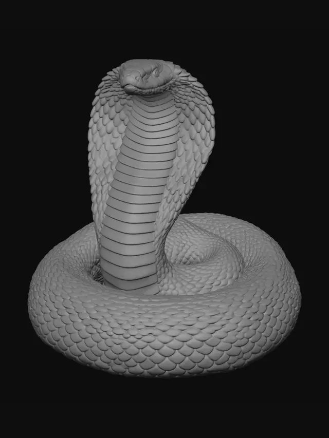 3D model for Midnight Cobra
