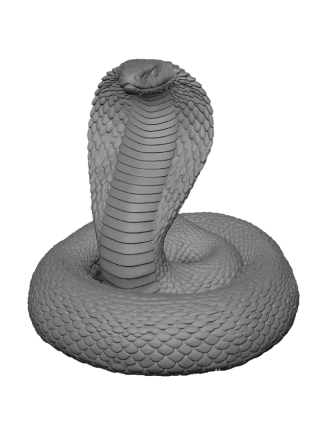 3D model for Midnight Cobra