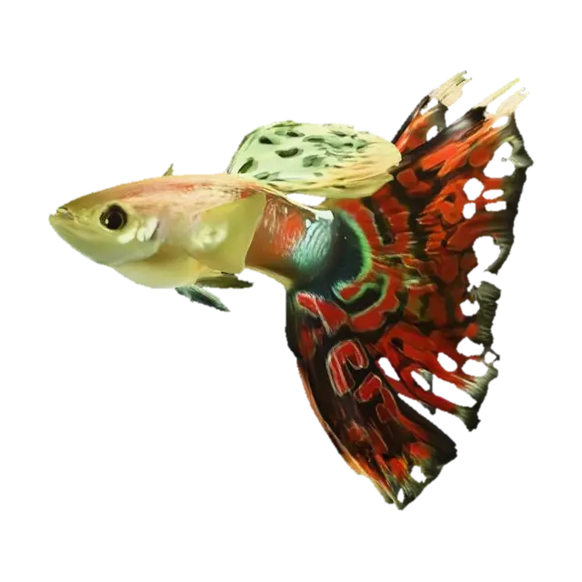 Mosaic Guppy 3D model, vytvořený pomocí AI