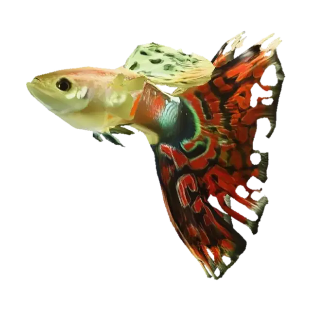 Mosaic Guppy 3D model, vytvořený pomocí AI