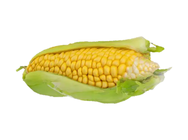 Golden Harvest - Corn 3D model, vytvořený pomocí AI